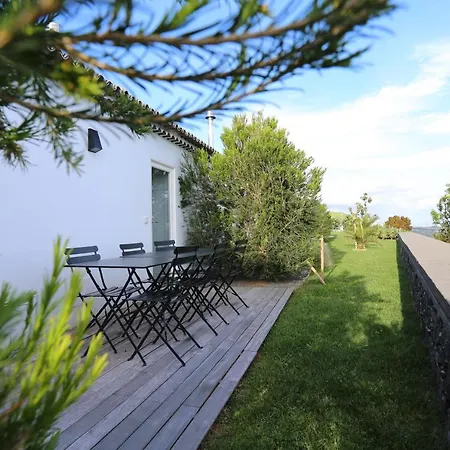 Antiga Fabrica De Cha * Nordestinho