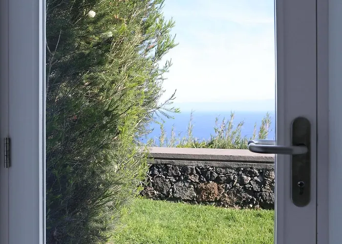 Antiga Fábrica De Chá * Nordestinho